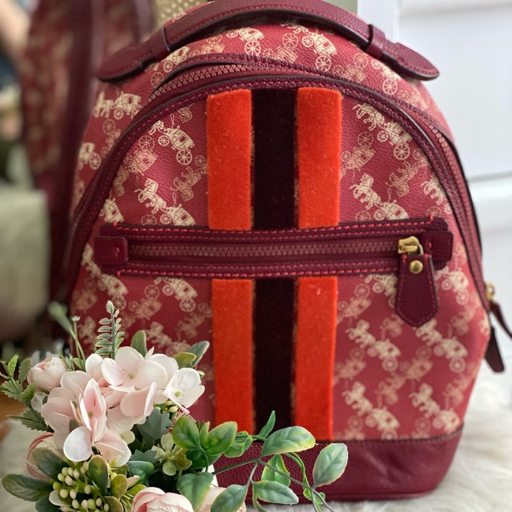 Coach backpack